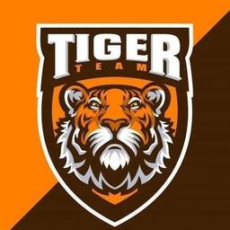 Tiger Team