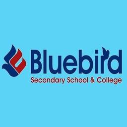 Bluebird College