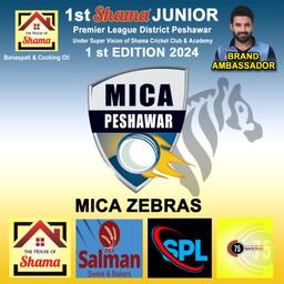 Mica Peshawar