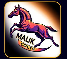 MALIK COLTS