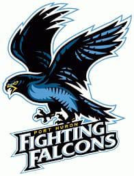 Fighting Falcons C