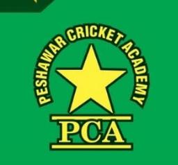 PCA ZALMI