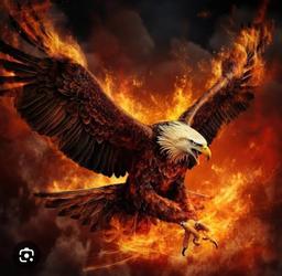 Eagle Fire