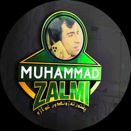 M.ZALMI