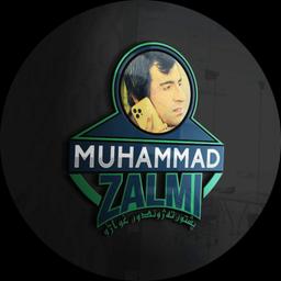 MOHAMMED ZALMI