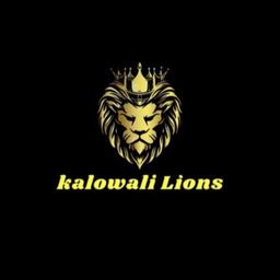 Kalowali Lion