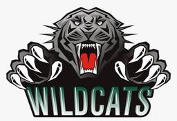 Hermanus Wildcats