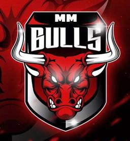 MM Bulls