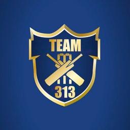 Team 313