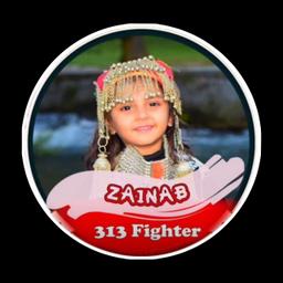 Zainab 313 Fighter