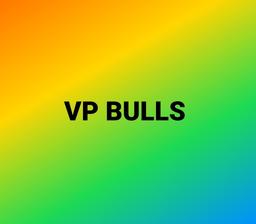 VP BULLS