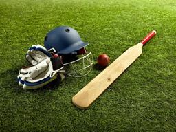 AnantapuramDistrict Cricket Sports