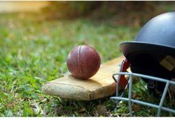 (Andhra Pradesh) District level cricket sports 2024 ( team (1)