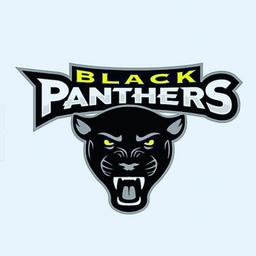 Black Panthers