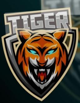 Team Tiger