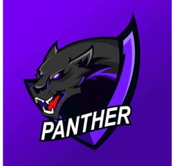 Panther Zacks