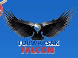 Torwarsak Falcons