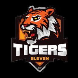 TIGERS ELEVEN  VAV