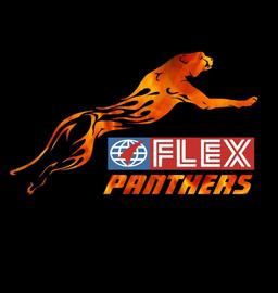 Flex Panthers Seniors