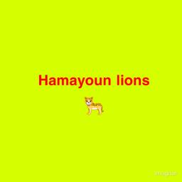 Hamyoun Lions