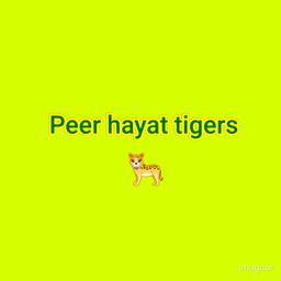 Peer Hayat Tigers