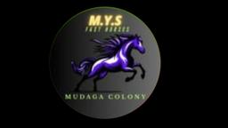 M. Y. S FASTHORSES MUDGA COLONY
