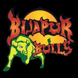 Bijapur Bulls