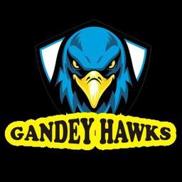 GANDEY HAWKS