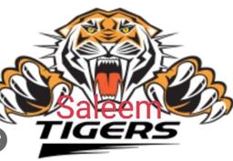 Saleem Tigers