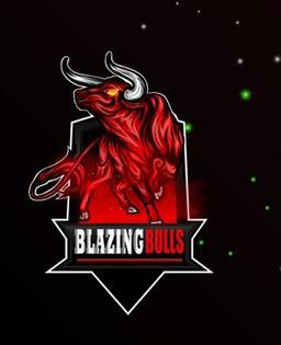 Blazzing Bulls