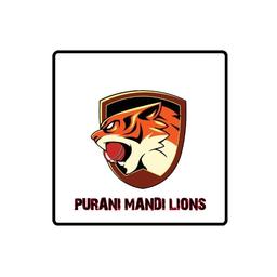 PURANI MANDI LIONS