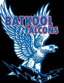 BATKOOL FALCONS