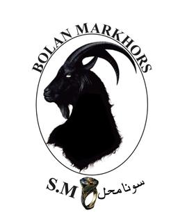 BOLAN MARKHOR