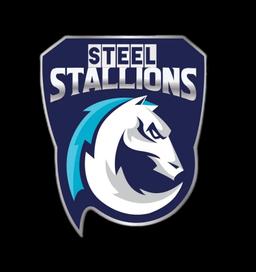 STEEL STALLIONS