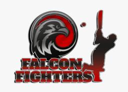 FALCON FIGHTERS