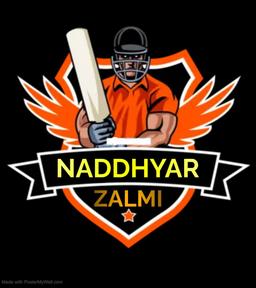 NANDHYAR ZALMI