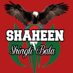 Shaheen Circket Club Shingle Bala