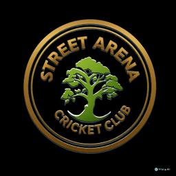 STREET ARENA