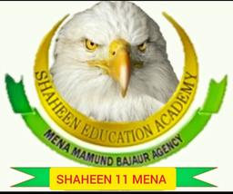 SHAHEEN CRICKET CLUB MENA