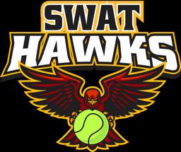 SWAT HAWKS