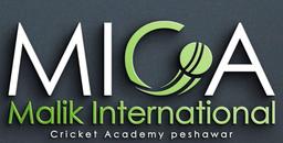 MALIK INTERNATIONAL CRICKET ACADEMY