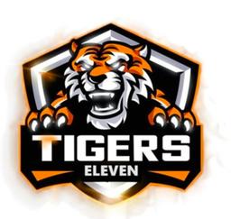 TIGERS ELEVEN