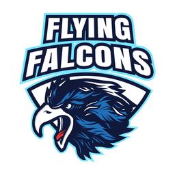 FLYING FALCONS