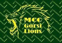 GORSI Lions