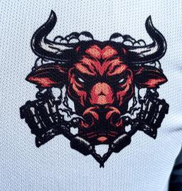 Calgary Bulls