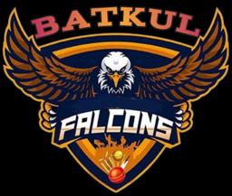 Batkool_Falcons