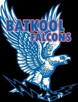 Batkol Falcons