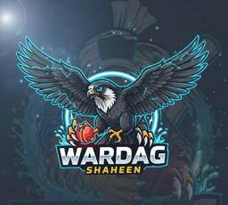 Wardag Shaheen