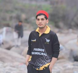 PASHTEEN ZALMI