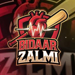 Baidaar Zalmi